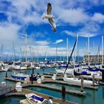 #FishermansWharf Instagram of the week from @theroamingpear #sanfrancisco #sf #sfbayarea #travel #visitca #alwayssf