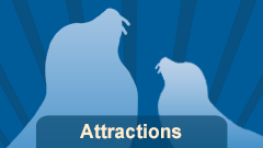Fisherman's Wharf Attractions