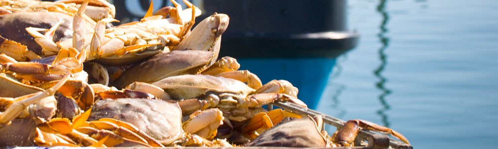 CrabSeason1.jpg