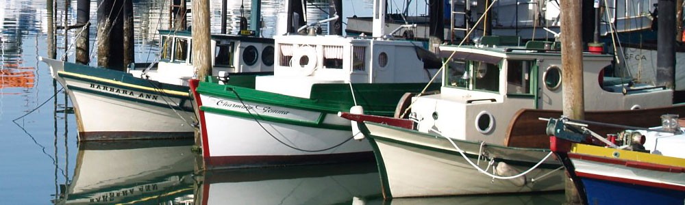 HistoricFishnFleet-TroyCampbell.jpg