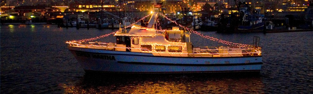 HolidayLightsSights.jpg