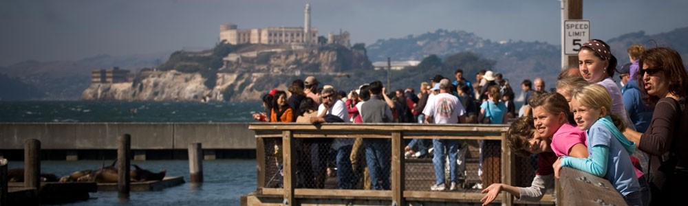 SeaLionViewing-Hallahan.jpg