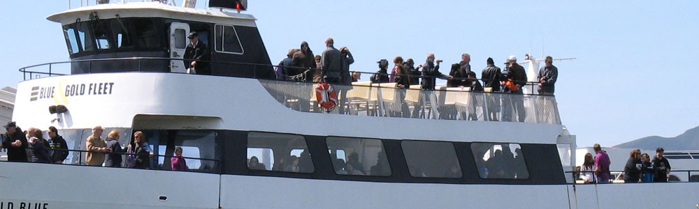 cruising.jpg