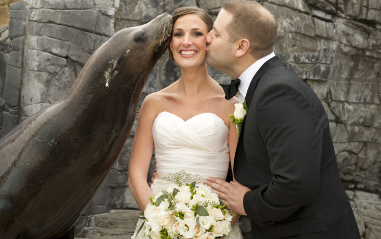 sealion-kiss-couple.jpg