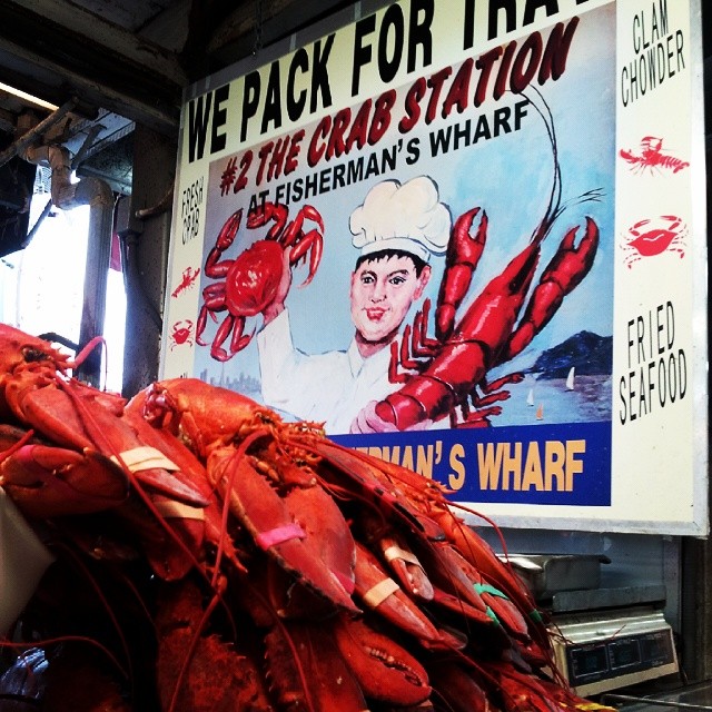 shuff 8 3 14 Lobsters