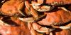 Crab Season is Here!