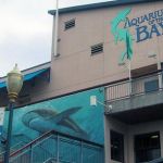 Aquarium of the Bay