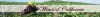423.png