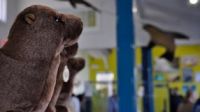 Sea Lion Center Gift Shop
