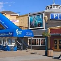 Aquarium of the Bay Gift Shop