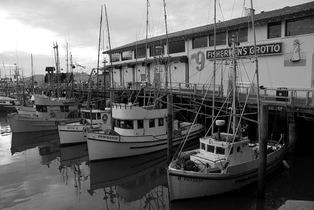 The Bold Italic - Fisherman’s Wharf — the Un-Tourist’s Guide