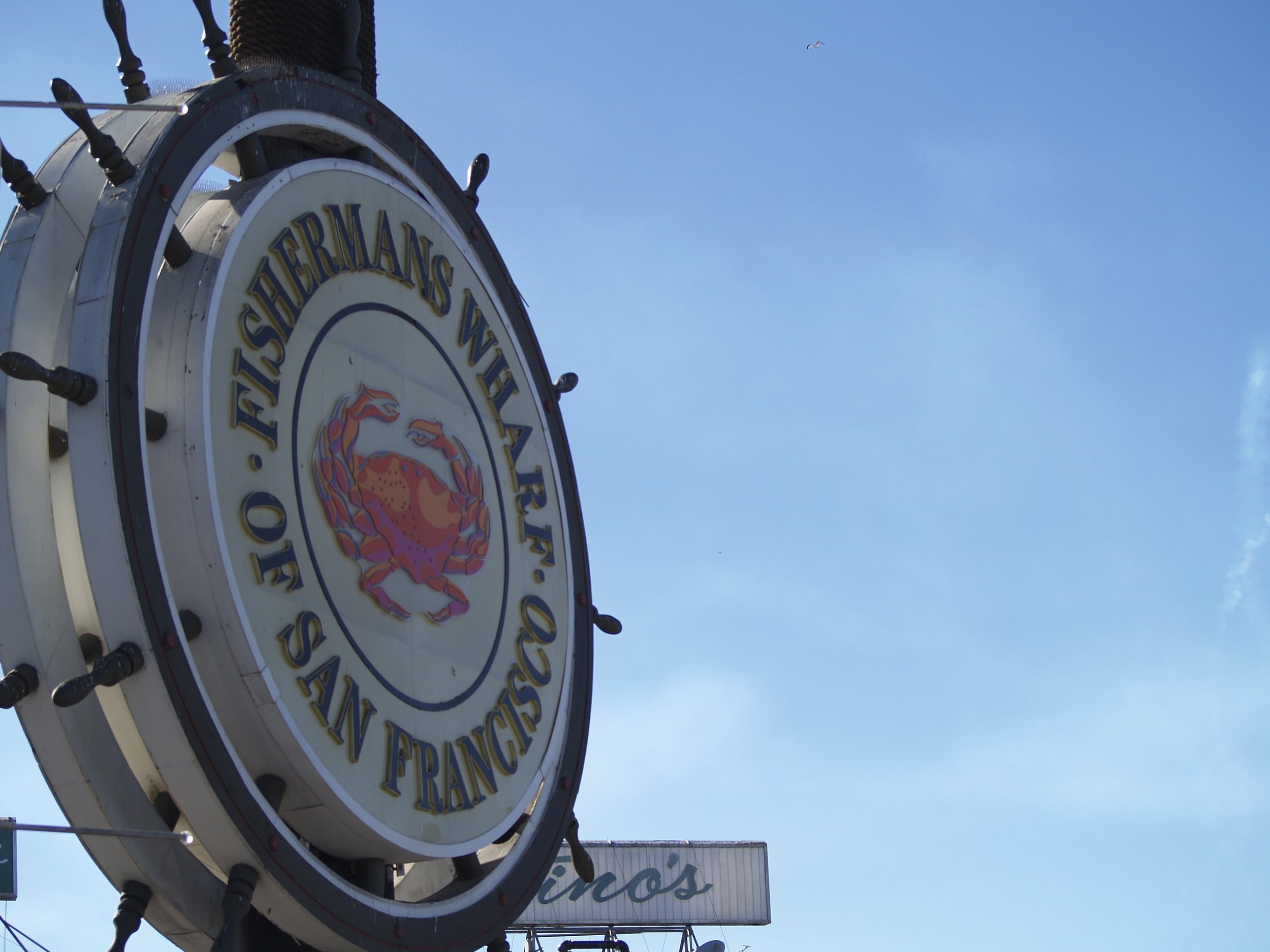 Fisherman’s Wharf Community Benefit District Names  Randall Scott New Executive Director 